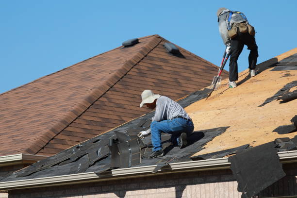 Best Roof Ventilation Installation  in Harlingen, TX