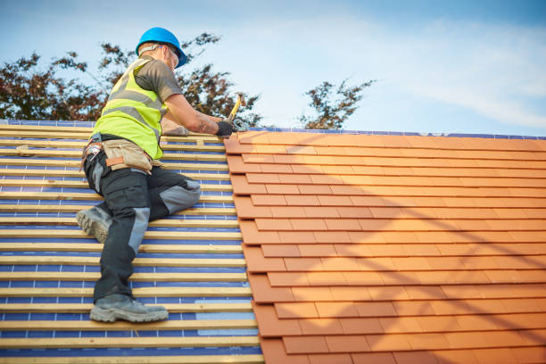 Best Roof Coating and Sealing  in Harlingen, TX